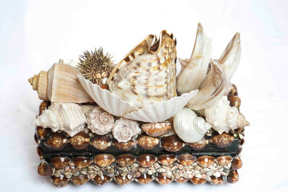 Sea Urchin Shell Box