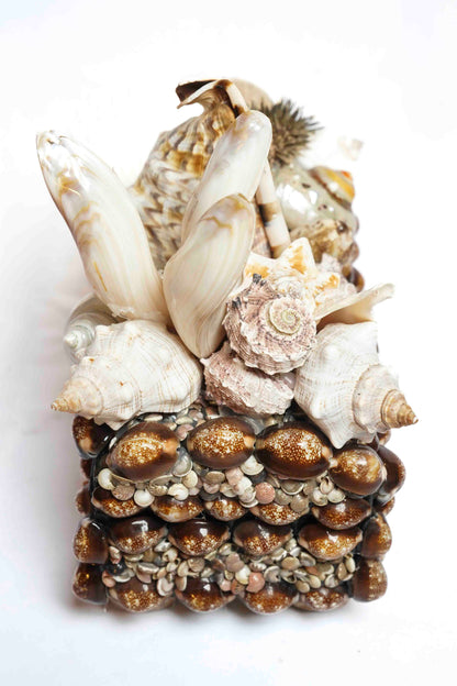 Sea Urchin Shell Box