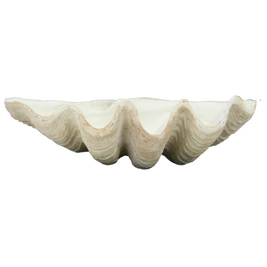Fossilized Derasa Clam Bowl