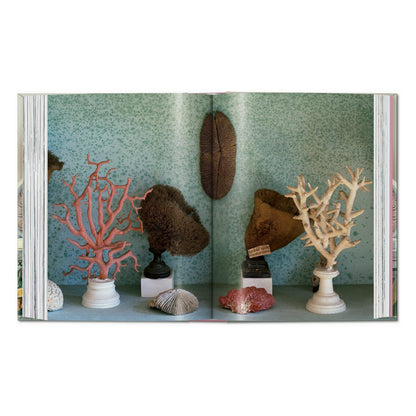 Massimo Listri. Cabinet of Curiosities. 45th Ed. (German, French, English)