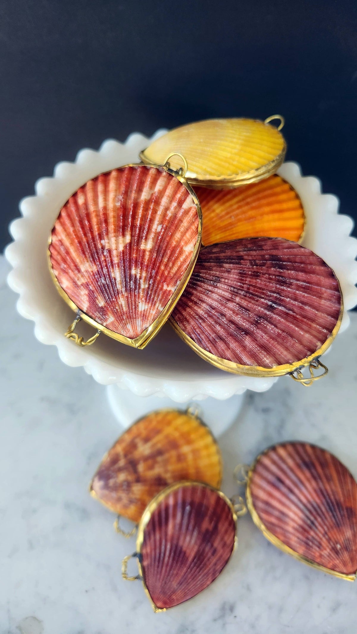 Noble Pectin Trinket Pill Box, Coin Purse
