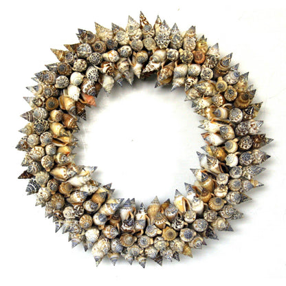 Urceus Shell Wreath: Small