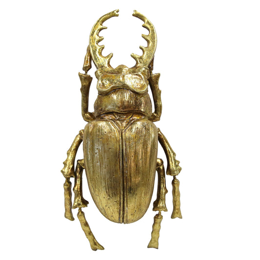 Gold Stag Beetle Wall Decor  (Small Version)
