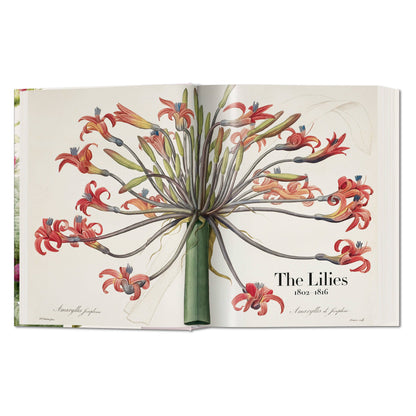 Redouté. The Book of Flowers (German, French, English)