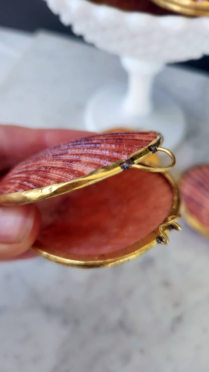 Noble Pectin Trinket Pill Box, Coin Purse