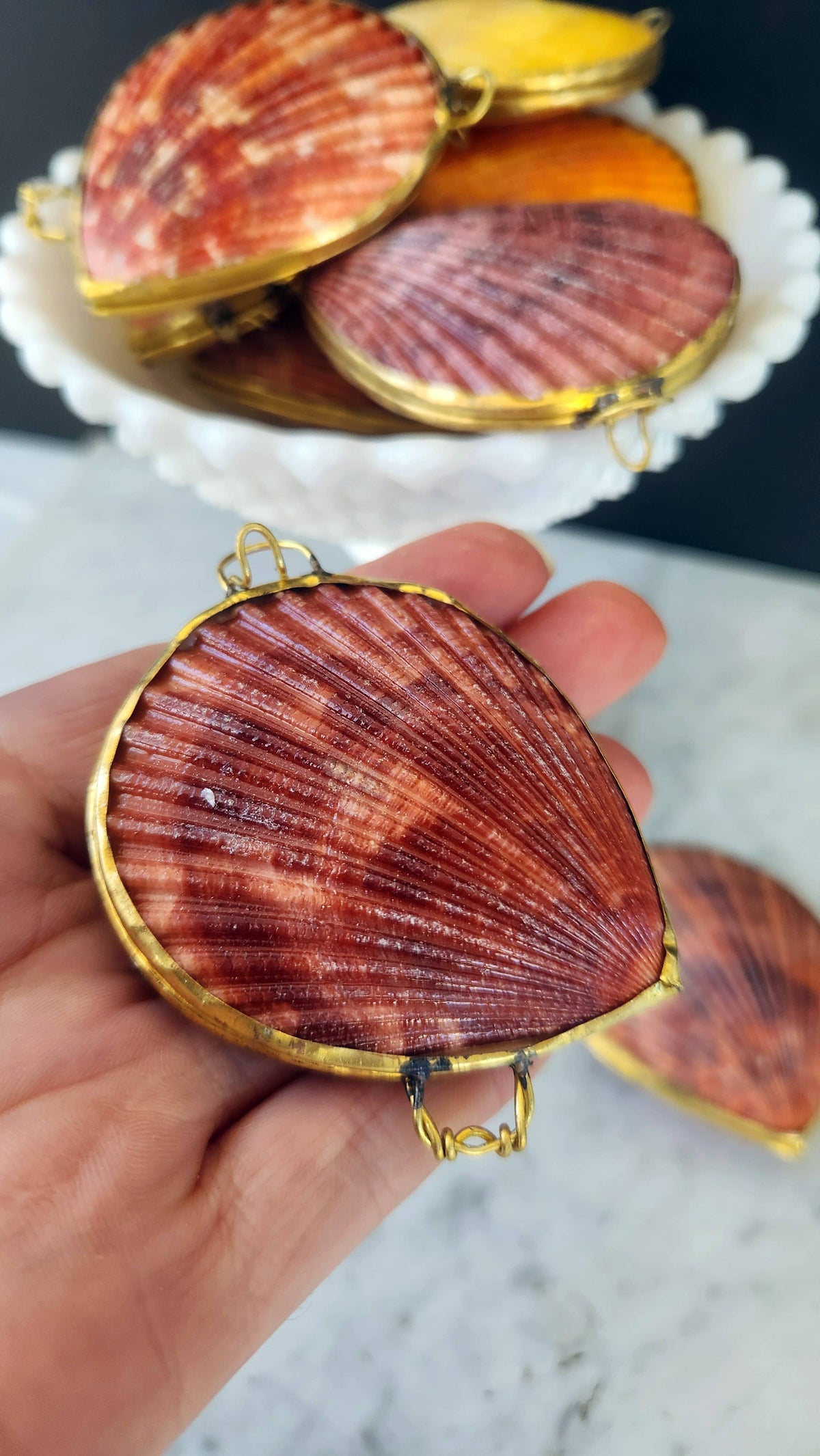 Noble Pectin Trinket Pill Box, Coin Purse