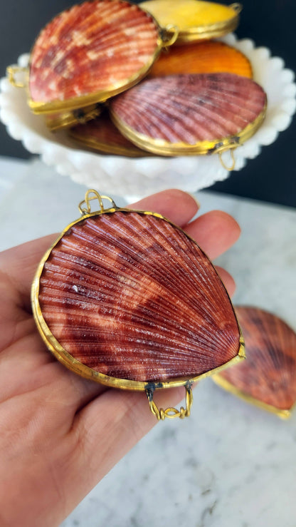 Noble Pectin Trinket Pill Box, Coin Purse