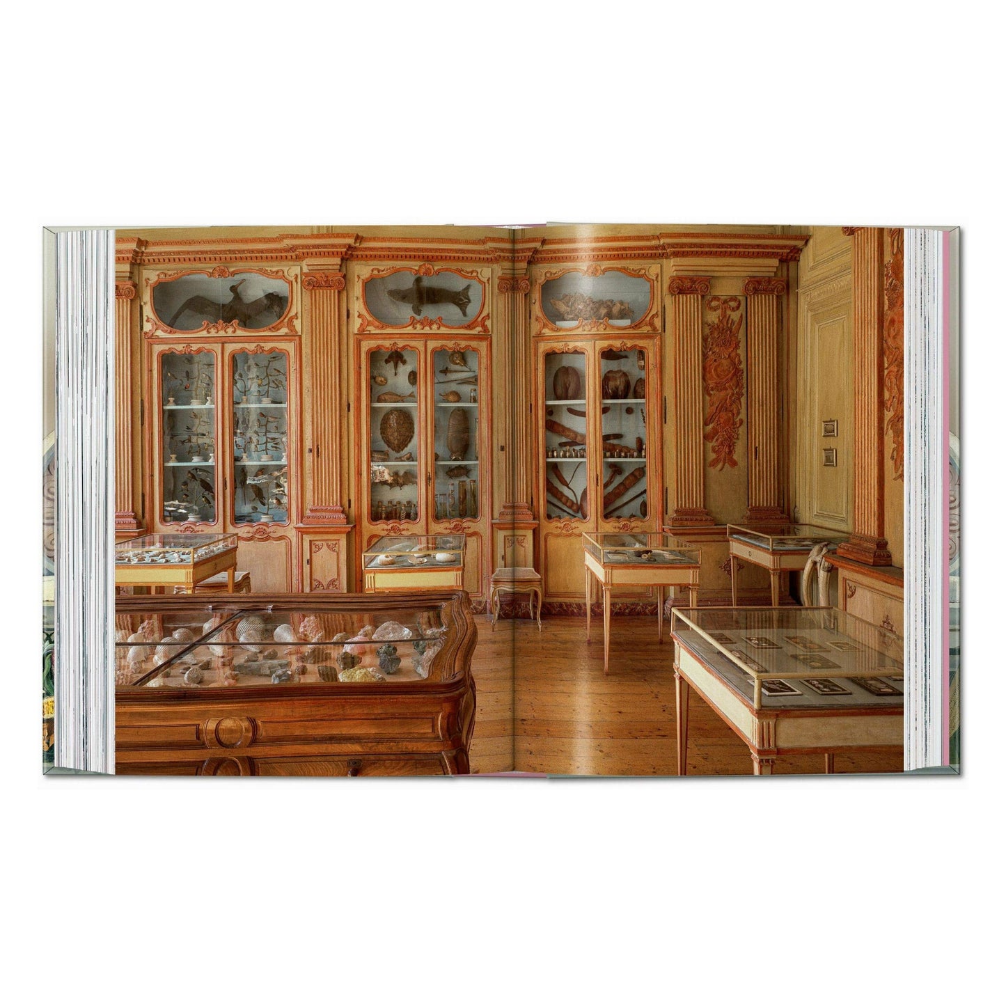Massimo Listri. Cabinet of Curiosities. 45th Ed. (German, French, English)