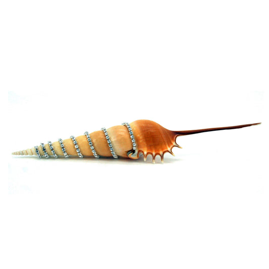 Jeweled Tibia Martin (up to 7.5")