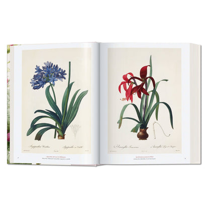Redouté. The Book of Flowers (German, French, English)